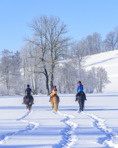 Reiten im Winter