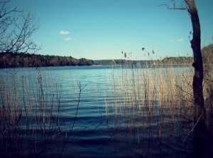 okolica-jezioro